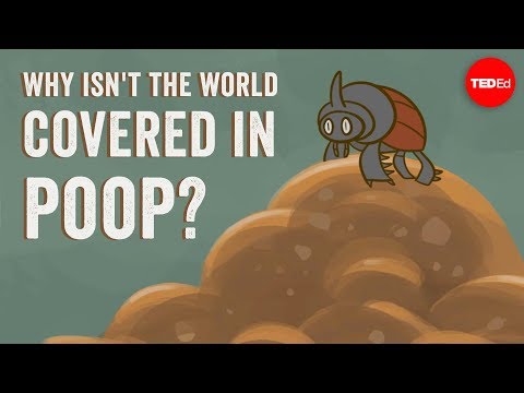 Why isn&apos;t the world covered in poop? - Eleanor Slade and Paul Manning