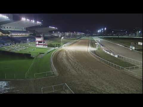 Thumbnail for Transmissão ao vivo de TV Turfe JCB