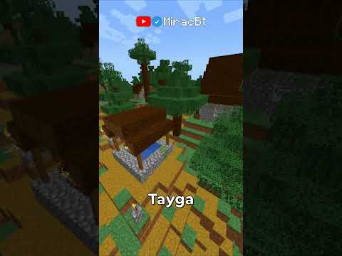 Minecraft'taki EN İYİ Köy Bulma Taktiği Nedir? ????