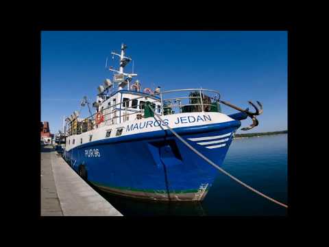 Panasonic DMW-GFC1 fisheye conversion lens review (+samples)