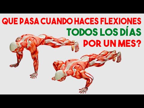 Thumbnail for ✅ Qué Pasa Cuando Haces FLEXIONES CADA DÍA Durante Un Mes?