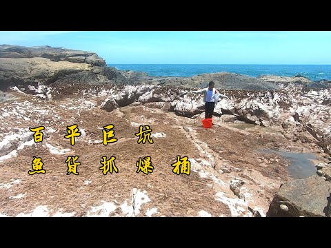 Thumbnail for 巨浪将鱼群卷入百平巨坑,被困其中无处可逃,抽干直接抓到爆桶了