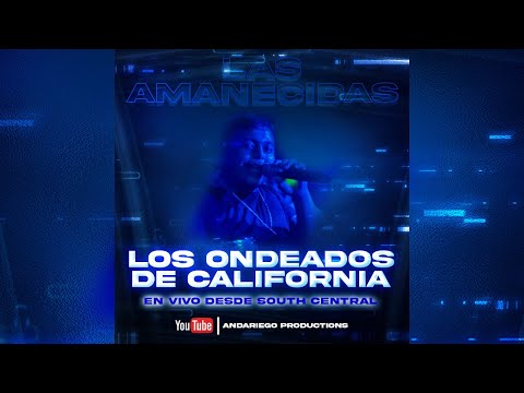 Thumbnail for Los Ondeados de California En Vivo