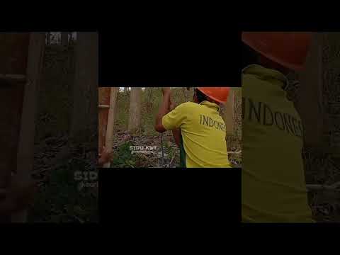 Thumbnail for Cara memasang tangga di tiang listrik pju