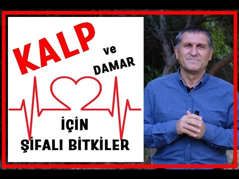 KALP ve DAMAR DOSTU BESİNLER I Kalp ve Damarlara iyi gelen bitkiler I Nasıl beslenmeli