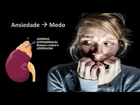 Thumbnail for Fármacos ansiolíticos e hipnóticos