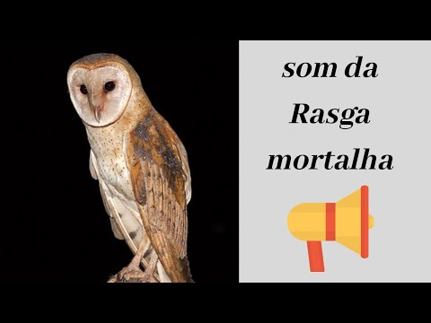SOM DA RASGA-MORTALHA