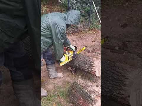 DeWalt DCM575 54V FlexVolt 40cm Brushless Cordless Chainsaw 1 x 9.0Ah