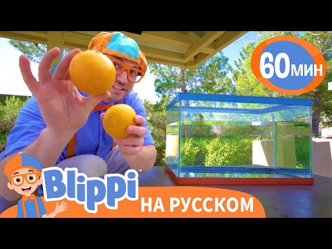 Утонет или всплывет? Что тяжелее? | 60 минут | Блиппи на русском