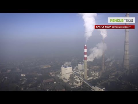 Thumbnail for Бишкектиктер эмнеге аллергияга көп чалдыгат? / 19.12.17 / НТС