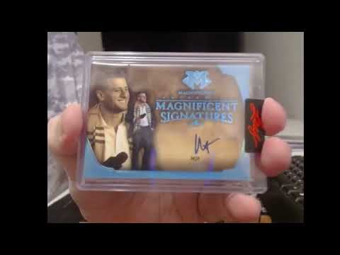 Thumbnail for LEAF MAGNIFICENCE HUGE 4-20