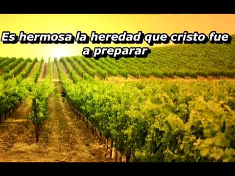 Duo Líbano - Hermano Por que Estas Triste