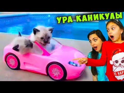 Thumbnail for ЛУЧШИЙ НЕ ЗАСМЕЙСЯ Челлендж с КОТАМИ #5 ТАЙНАЯ ЖИЗНЬ ДОМАШНИХ ЖИВОТНЫХ Смешные КОТИКИ Питомцев