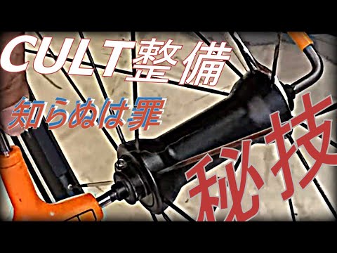 カンパニョーロハブ分解【かたくて回らない】Fulcrum