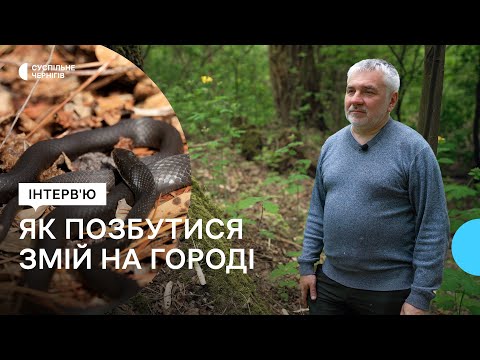 Як позбутися змій на городі | Інтерв&apos;ю з екологом та кандидатом біологічних наук Юрієм Карпенком
