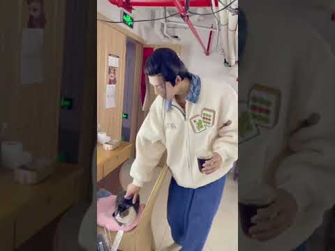 210409 邓超元 Deng Chaoyuan meets an aloof cat in the dressing room