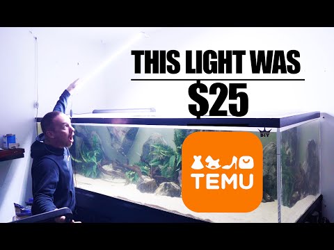 Thumbnail for I BUILD THE CHEAPEST AQUARIUMS WITH TEMU UNDER $250| The king of DIY