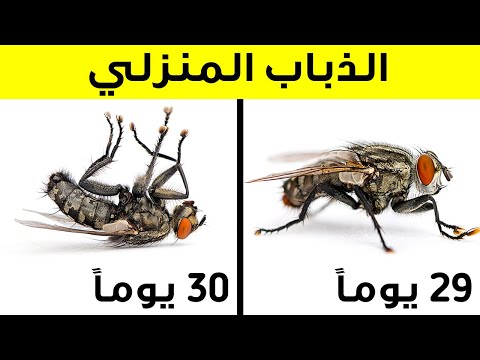 أكثر من 15 حقيقة نادراً ما يتم مشاركتها ستجعلك تفكر مرة أخرى