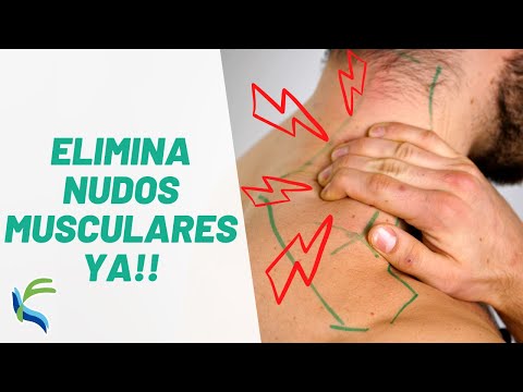 Como quitar CONTRACTURAS y NUDOS musculares Fisiolution