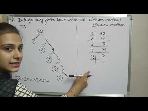 Factor tree method   CLASS 5