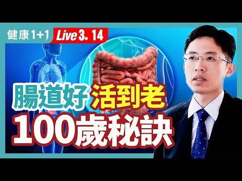 3類食物延緩腸道老化抑發炎，銀髮族的長壽飲食秘訣，世界長壽排名第一 ，日本長壽鎮百歲人瑞超過全國平均3倍，秋葵和海菜/海帶 膳食纖維含量高；（2023.03.14）| 健康1+1 · 直播