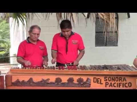 Thumbnail for Mi Palinché - Marimba Orquesta Sonora del Pacifico