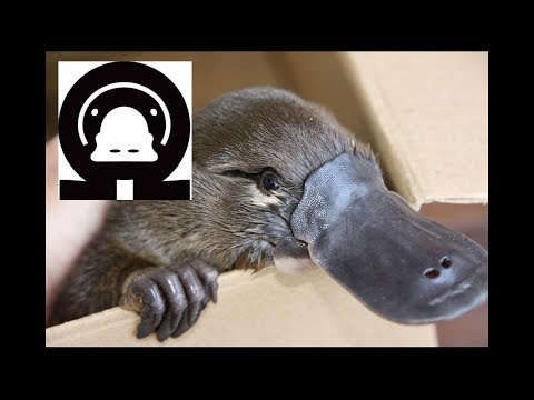 EEVblog #1170 - TRUE Mystery Teardown! (not even Dave knows)