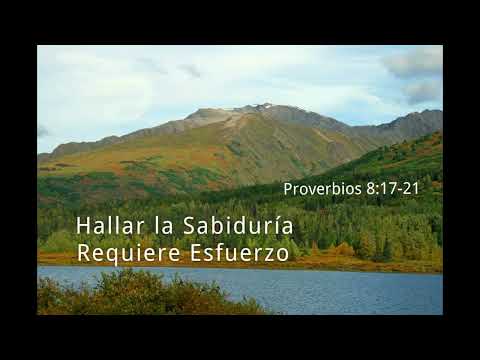 Proverbios 8:17-21 | Hallar la Sabiduría Requiere Esfuerzo | UCB