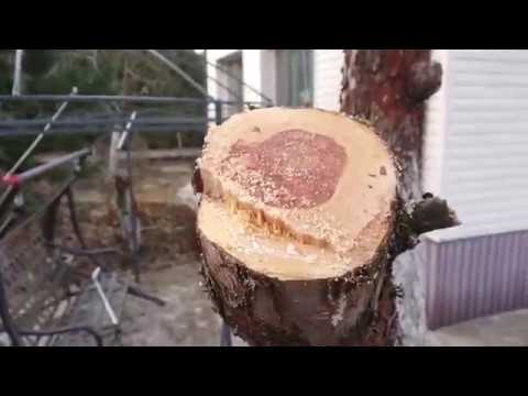 Samurai Saws GKC 330 LH Daichi