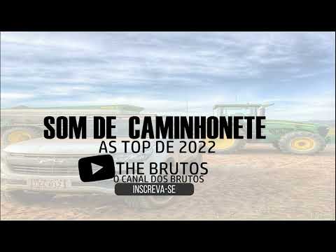 #03 SOM DE PICAP SO AS MELHORES DO AGRO 2022