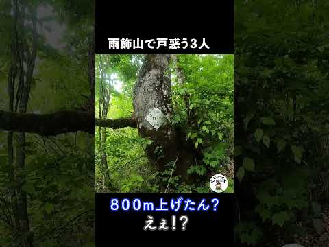 山中で摩訶不思議!こんなに登った!?#shorts #登山 #ピッコナ #雨飾山