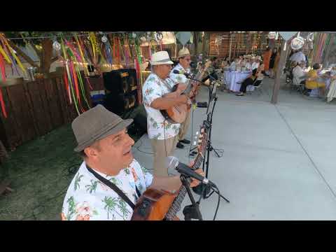 Thumbnail for Malagueña ,Perfume de Gardenias, en mi viejo San juan(Cover) Trio Los Principes(TLP).