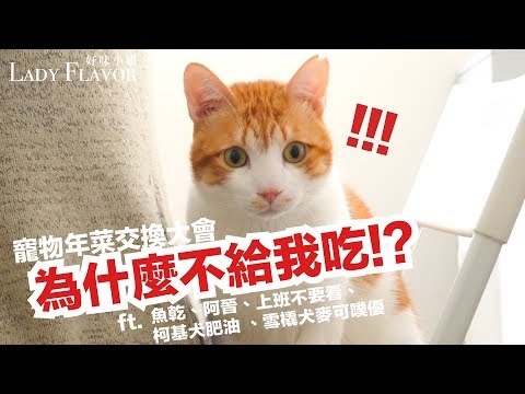 寵物年菜交換大會！ft.魚乾、阿晋、上班不要看、柯基犬肥油、麥可噗優【好味貓廚房】EP84