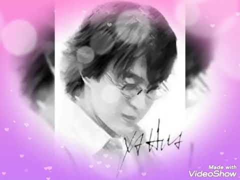 Taiwan 華華 화화 hua-hua Drawing 배용준 裴勇俊 Bae Yong Joon