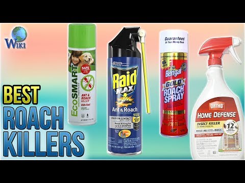 10 Best Roach Killers 2018