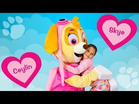 Ceylin &amp; Skye - Head Shoulders Knees and Toes - Finger Family - Are You Sleeping Songs Learn Colors