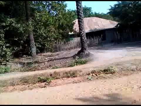 Thumbnail for Picada na Guiné-Bissau