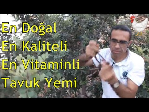 Thumbnail for Alın Size Doğal Yumurta Yemi!!!