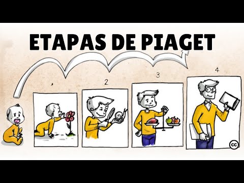 La Teoría del Desarrollo Cognitivo de Piaget