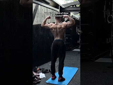 “What’s the point of back muscles?”