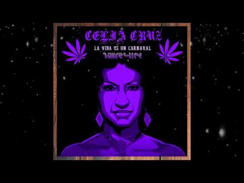 La Vida es un Carnaval - 1BR4iN (techouse Remix 2k22) #techhouse #lavidaesuncarnaval #house