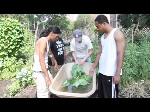 Thumbnail for Matéria de Capa - Sustentabilidade do Futuro