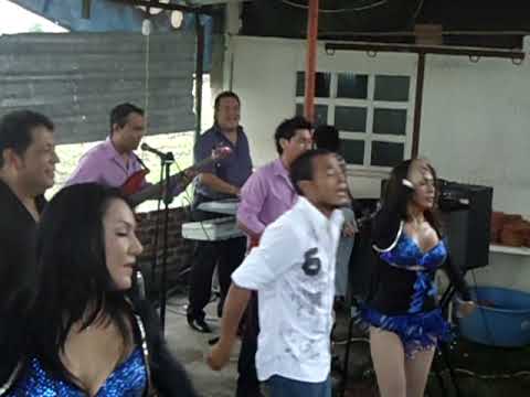 Corazón En La Mano - EL PELIGRO TROPICAL DE MEXICO NATIVO Paso de Ovejas Veracruz