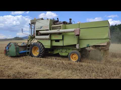 ????Žně????2022????sklizeň pšenice????1x Fortschritt MDW E514,3x MDW 514 #29