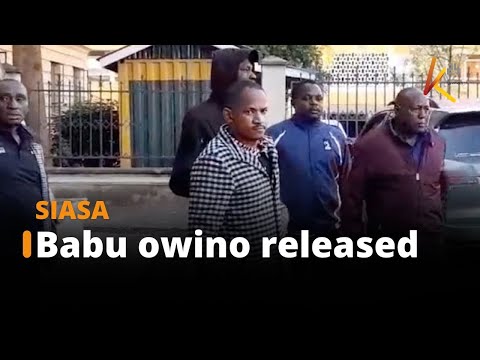 Thumbnail for Babu owino released