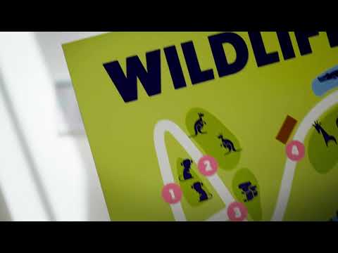 UV Printing On Rigid Boards - Safari Sign