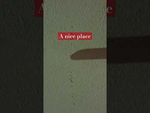 Thumbnail for yeah????