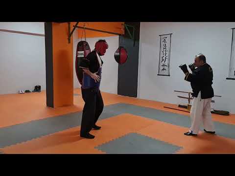 #budomethodaikijutsu#aikido#combataikijutsukai#aikijutsu#arakikenpo#soke