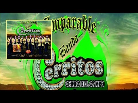 Thumbnail for EL PATRON DE LA HIERBA ¡¡¡ESTRENO!!! — LA IMPARABLE BANDA CERRITOS [2017].