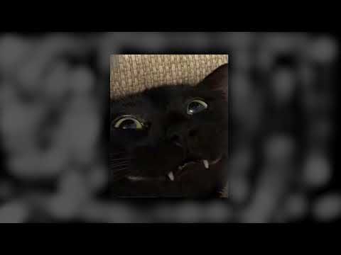 Thumbnail for 【﻿Ａｒｃｔｉｃ　Ｍｏｎｋｅｙｓ　|　ＰＬＡＹＬＩＳＴ】